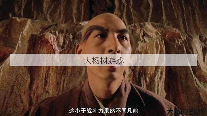 挑战少林的天龙八部 第1张 挑战少林的天龙八部 第1张