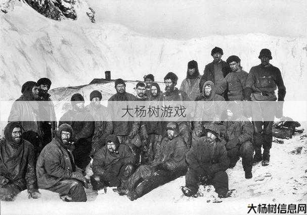 荒野探险家的传奇开荒职业