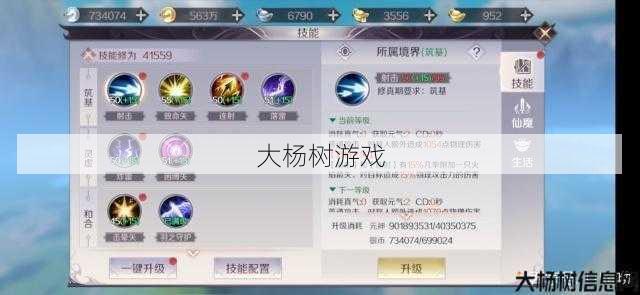 新开完美世界私服全方位秘籍_最佳羽芒技能文本搭配策略，帮助您赢得完美国际！ 第1张