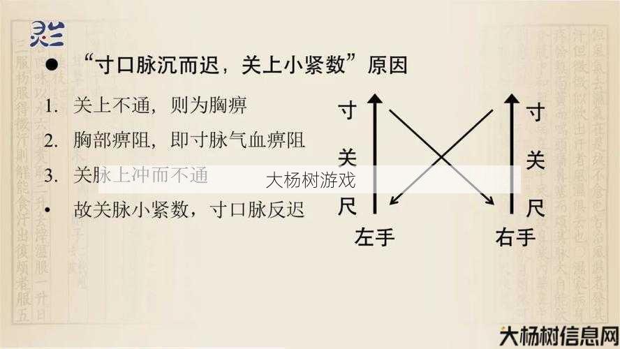 探索方寸山经络流派的秘密 第1张