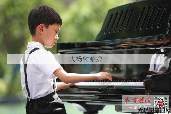 踏入江湖如何提升琴技 第1张