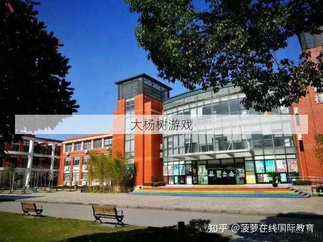 国际羽芒攻击力提升方法在知乎上讨论 第1张