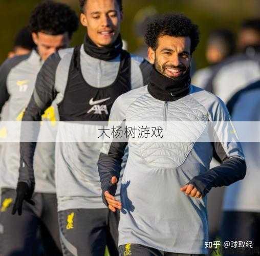 国际羽芒攻击力提升方法在知乎上讨论 第2张