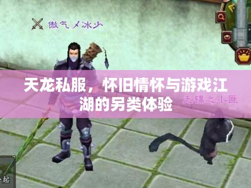 沉迷天龙私服无法自拔？快来看看打怪升级与团队战斗的独特体验 第2张