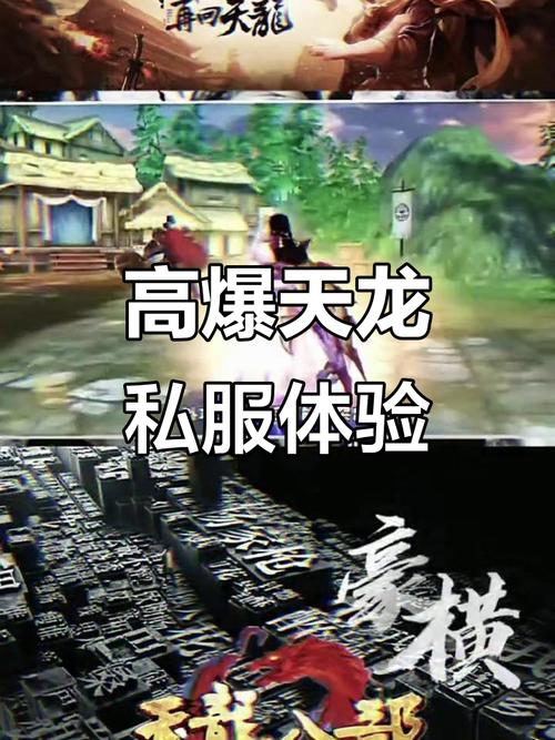 沉迷天龙私服无法自拔？快来看看打怪升级与团队战斗的独特体验 第3张