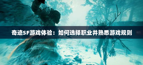 奇迹SF游戏体验：如何选择职业并熟悉游戏规则 第3张