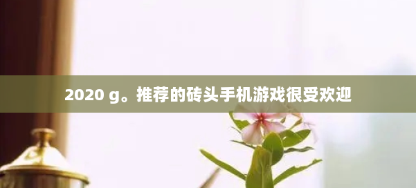 2020 g。推荐的砖头手机游戏很受欢迎 第3张