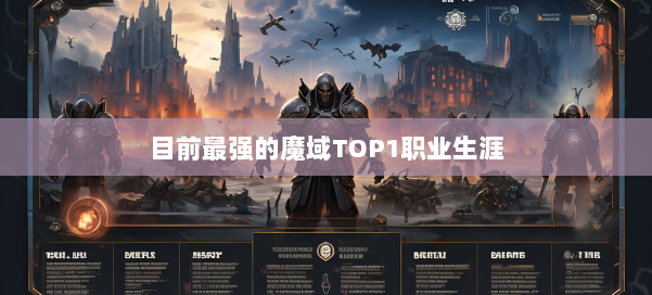 目前最强的魔域TOP1职业生涯 第2张