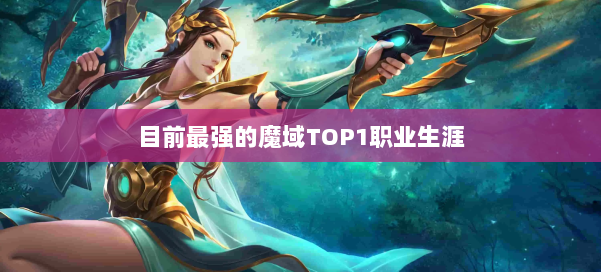 目前最强的魔域TOP1职业生涯 第3张