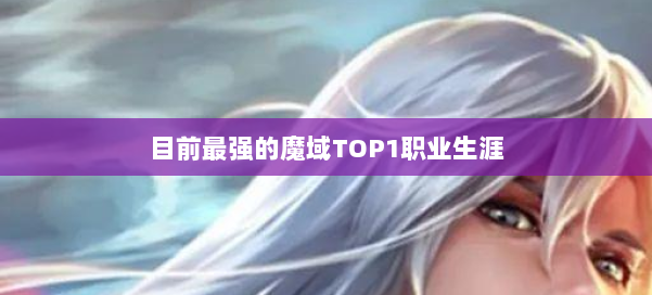 目前最强的魔域TOP1职业生涯 第1张