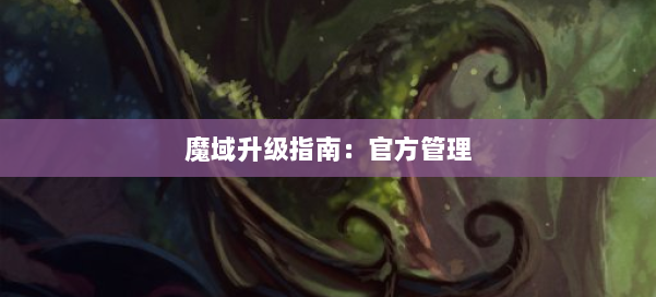 魔域升级指南：官方管理 第1张