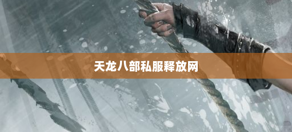 天龙八部公益私服释放网 第1张