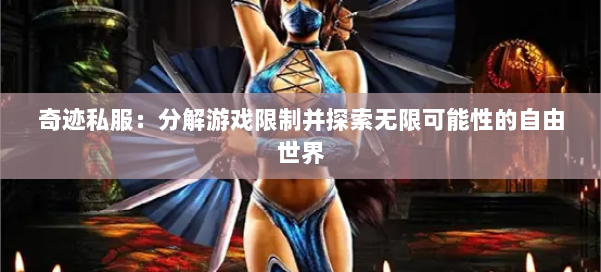 奇迹私服：分解游戏限制并探索无限可能性的自由世界 第2张