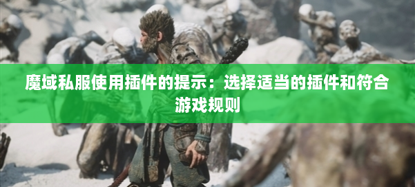 魔域私服使用插件的提示：选择适当的插件和符合游戏规则