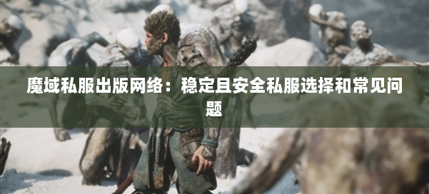 魔域私服出版网络：稳定且安全私服选择和常见问题 第2张