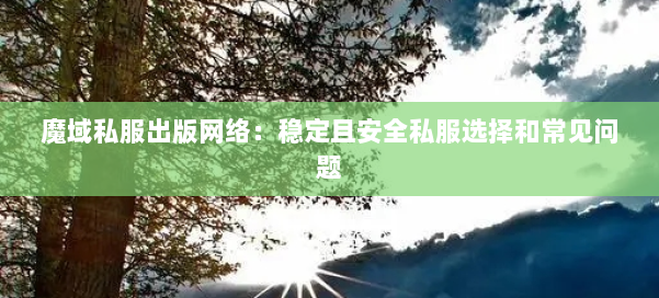 魔域私服出版网络：稳定且安全私服选择和常见问题 第1张