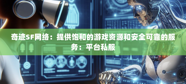 奇迹SF网络：提供饱和的游戏资源和安全可靠的服务：平台私服