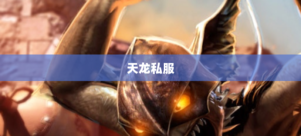 天龙私服 第1张