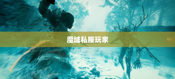 魔域私服玩家