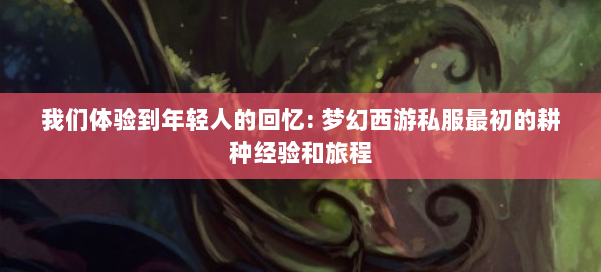 我们体验到年轻人的回忆: 梦幻西游私服最初的耕种经验和旅程 第2张