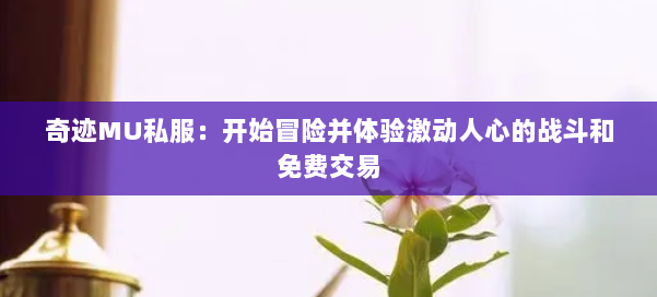奇迹MU私服：开始冒险并体验激动人心的战斗和免费交易 第2张