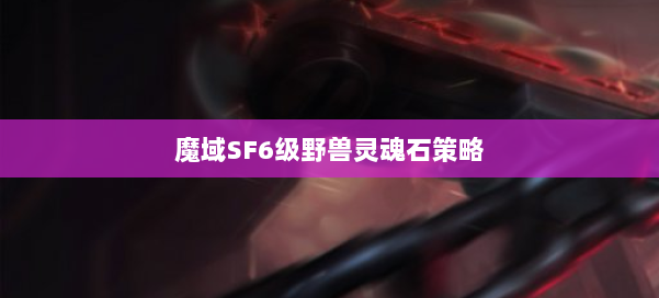 魔域SF6级野兽灵魂石策略 第1张