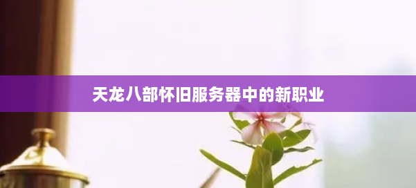 天龙八部怀旧服务器中的新职业 第1张