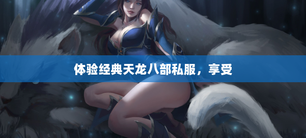 体验经典天龙八部公益私服，享受 第1张