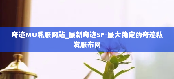 奇迹MU私服网站_最新奇迹SF-最大稳定的奇迹私发服布网 第1张
