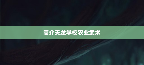 简介天龙学校农业武术 第2张