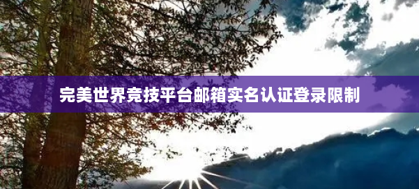 完美世界竞技平台邮箱实名认证登录限制 第2张