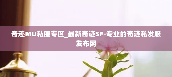 奇迹MU私服专区_最新奇迹SF-专业的奇迹私发服发布网 第3张