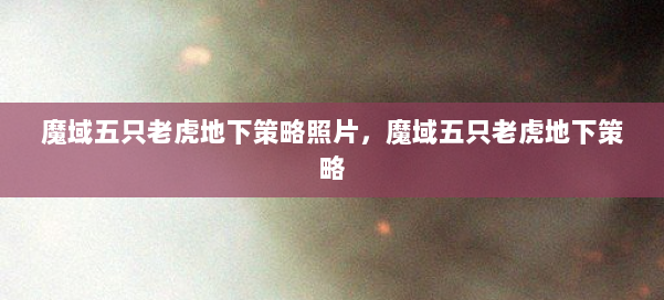 魔域五只老虎地下策略照片，魔域五只老虎地下策略 第1张