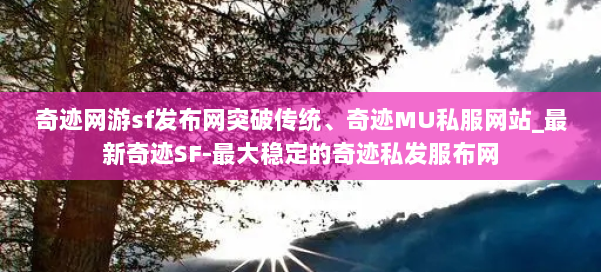 奇迹网游sf发布网突破传统、奇迹MU私服网站_最新奇迹SF-最大稳定的奇迹私发服布网 第3张