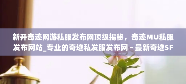 新开奇迹网游私服发布网顶级揭秘，奇迹MU私服发布网站_专业的奇迹私发服发布网 - 最新奇迹SF发布网 第2张