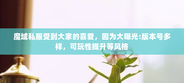 魔域私服受到大家的喜爱，因为大曝光:版本号多样，可玩性提升等风格 第1张