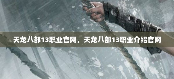 天龙八部13职业官网，天龙八部13职业介绍官网 第2张