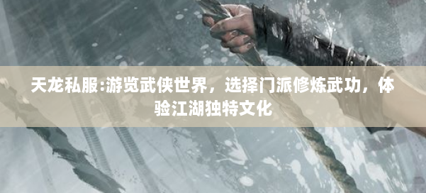 天龙私服:游览武侠世界,选择门派修炼武功,体验江湖独特文化 第3张 天龙私服:游览武侠世界,选择门派修炼武功,体验江湖独特文化 第3张