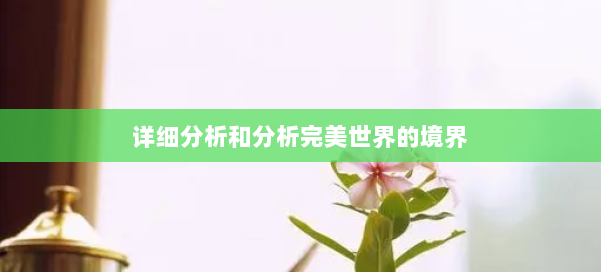 详细分析和分析完美世界的境界 第1张