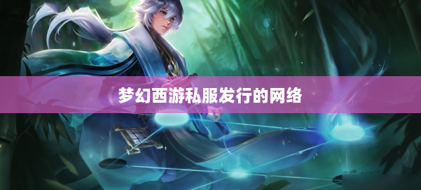 梦幻西游私服发行的网络 第2张 梦幻西游私服发行的网络 第2张