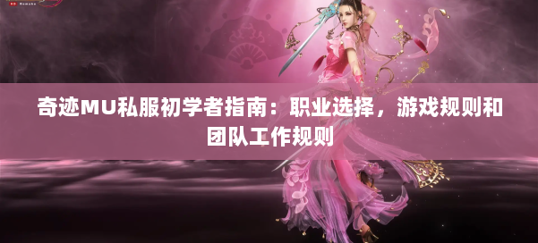 奇迹MU私服初学者指南:职业选择,游戏规则和团队工作规则 第2张 奇迹MU私服初学者指南:职业选择,游戏规则和团队工作规则 第2张