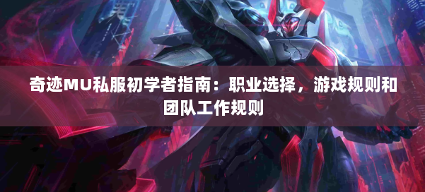 奇迹MU私服初学者指南:职业选择,游戏规则和团队工作规则 第3张 奇迹MU私服初学者指南:职业选择,游戏规则和团队工作规则 第3张