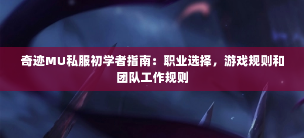 奇迹MU私服初学者指南:职业选择,游戏规则和团队工作规则 第1张 奇迹MU私服初学者指南:职业选择,游戏规则和团队工作规则 第1张
