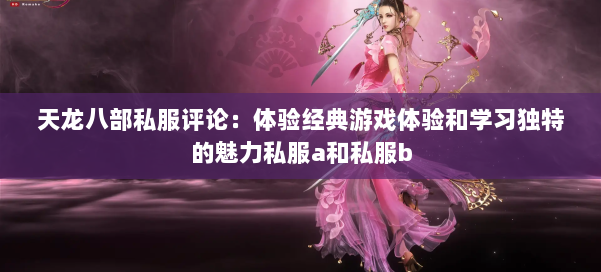 天龙八部公益私服评论：体验经典游戏体验和学习独特的魅力私服a和私服b 第1张