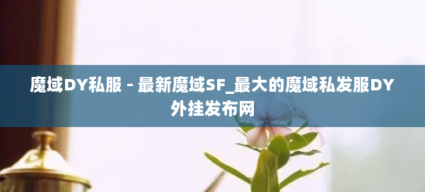 魔域DY私服 - 最新魔域SF_最大的魔域私发服DY外挂发布网 第1张