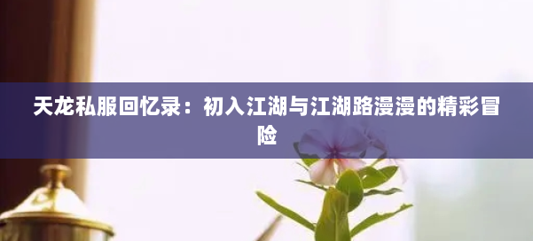 天龙私服回忆录：初入江湖与江湖路漫漫的精彩冒险 第1张