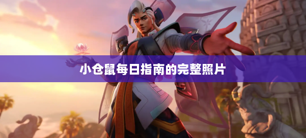 小仓鼠每日指南的完整照片 第1张