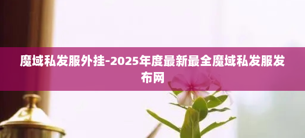 魔域私发服外挂-2025年度最新最全魔域私发服发布网 第1张