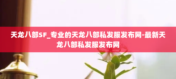 天龙八部SF_专业的天龙八部私发服发布网-最新天龙八部私发服发布网 第2张
