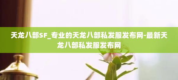 天龙八部SF_专业的天龙八部私发服发布网-最新天龙八部私发服发布网 第1张
